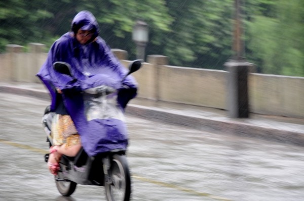 【杭州西湖雨纷纷】组图/文11