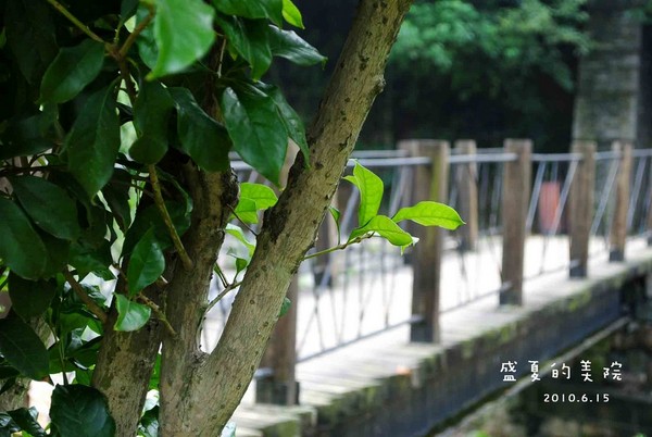 如果你来杭州，可以去国美看看8