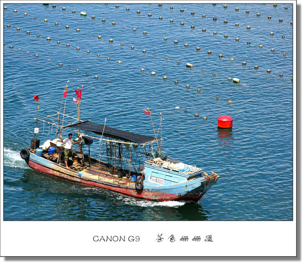 东部海岸·养殖渔排9
