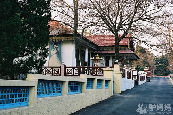 啤酒节醉爱青岛：城市老建筑--岁月沉淀出的醇香“美酒”4