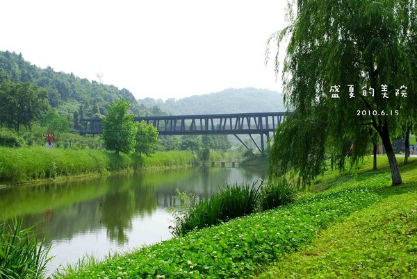 如果你来杭州，可以去国美看看7