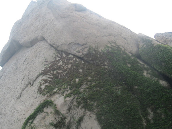 青岛崂山青峰顶6