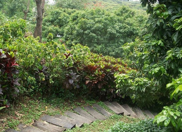 深圳之行4