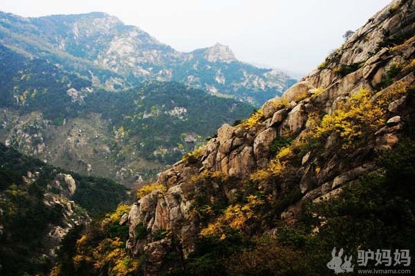 泰山：徂徕山国家森林公园1
