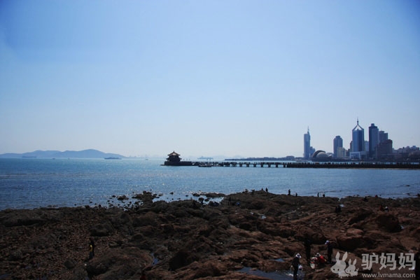 啤酒节醉梦青岛：山巅海畔，听涛絮语12