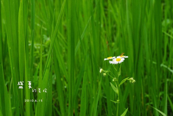 如果你来杭州，可以去国美看看3