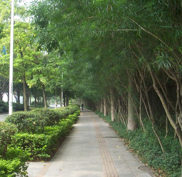 深圳之行3