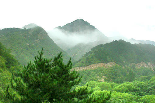 京郊最清幽的旅游地 到松山享草原的美丽1