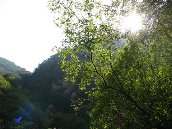 天津市区的后花园，后花园中的八仙山2
