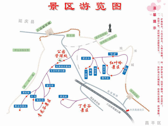 北京八达岭国家森林公园赏红叶攻略1