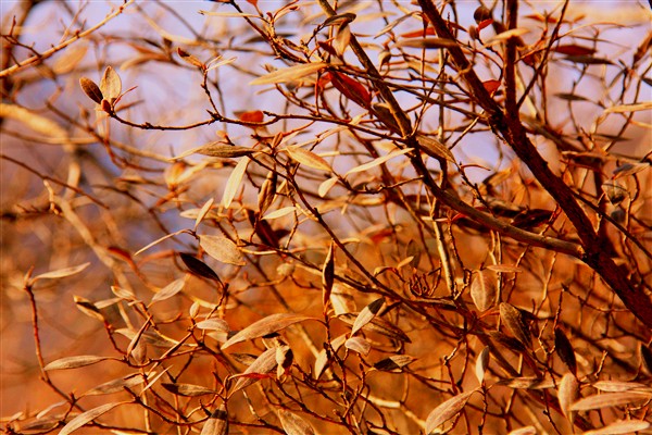 2010-4-10 天津蓟县九山顶----与他15