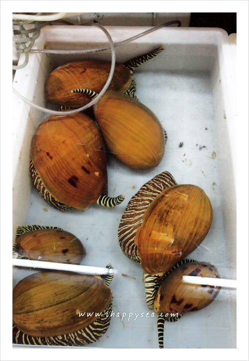 [福友活动]三亚第一市场海鲜之夜12