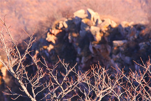 2010-4-10 天津蓟县九山顶----与他12