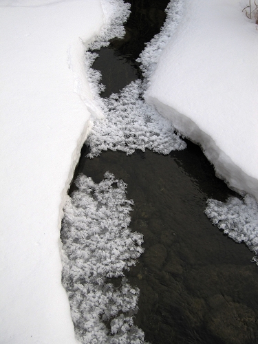 后河 雪后1