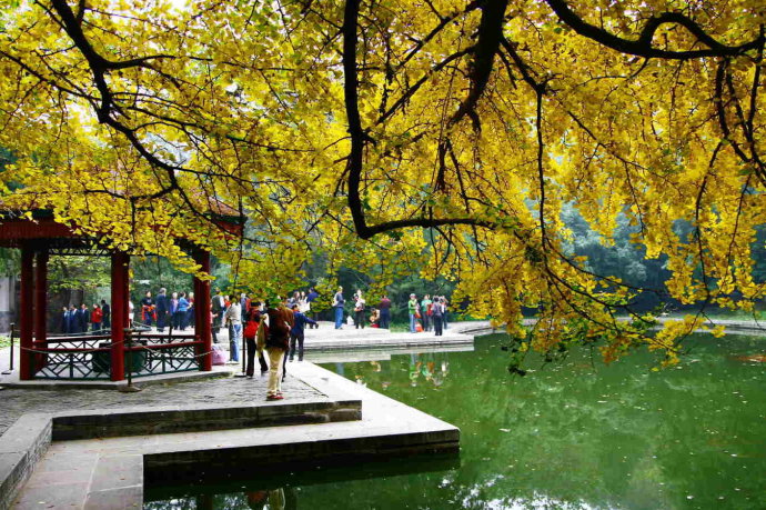 京城秋日之美 美在香山1