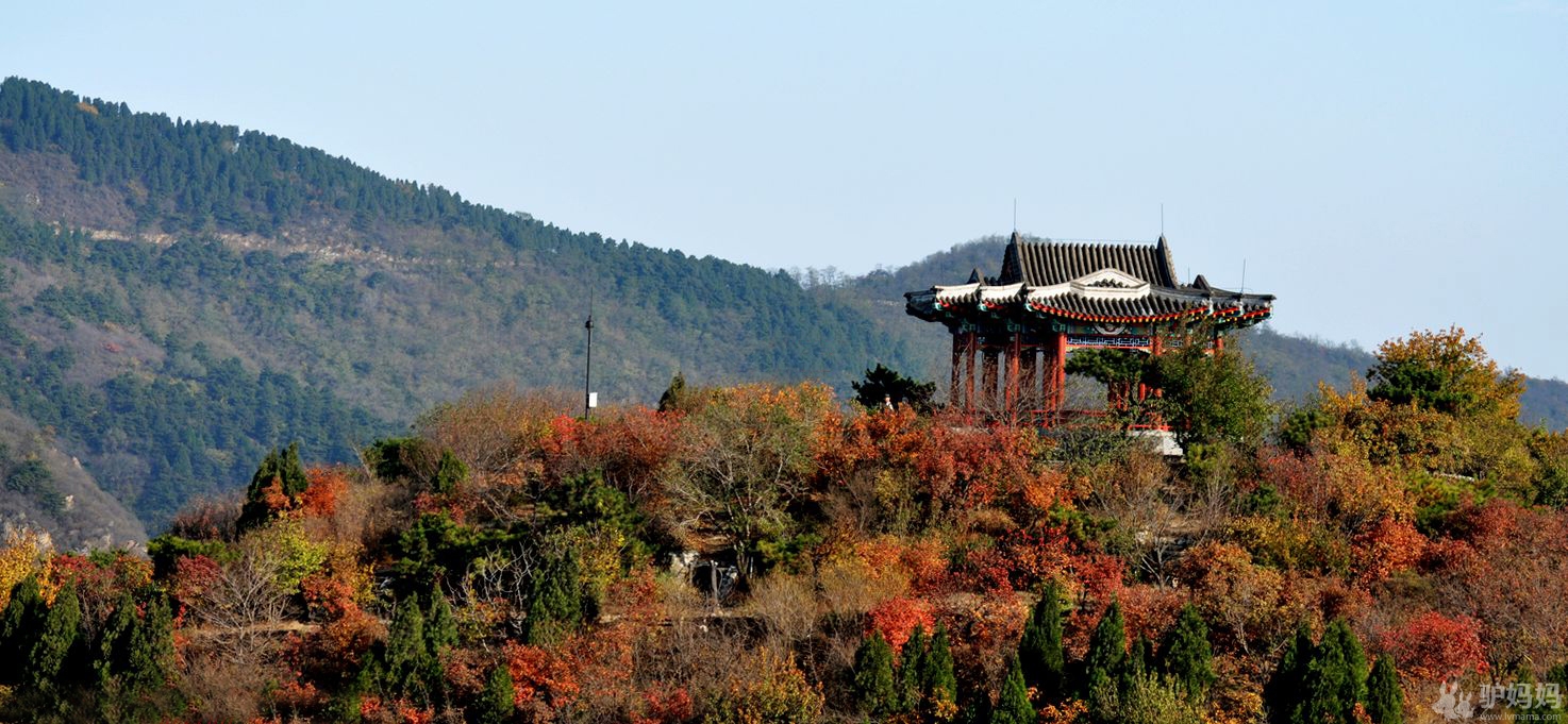 十月旅游好去处--秋染香山，红叶寄相思1