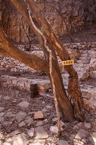 2010-4-10 天津蓟县九山顶----与他3