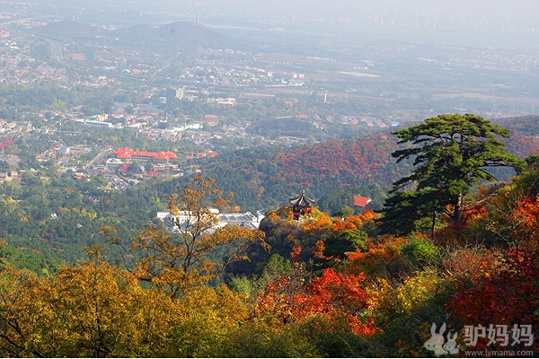 十月旅游好去处--秋染香山，红叶寄相思6