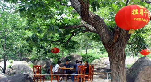 享受完美假期 天津出行旅游攻略(图)1