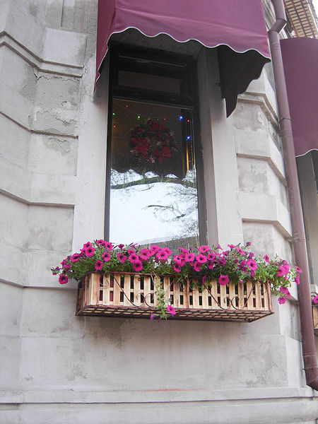2010-05-02 天津自助游25