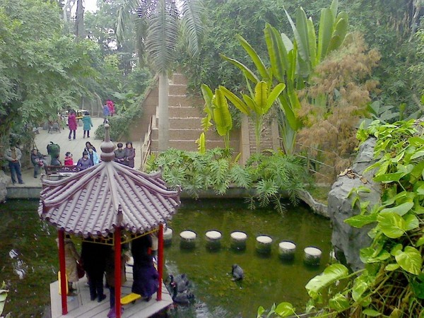 天津热带植物园观光（2010-01-01)3