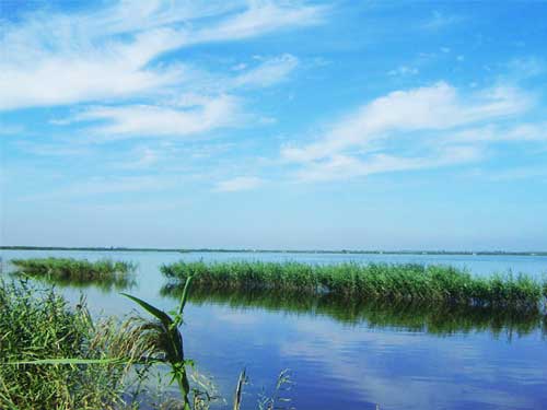 天津 神奇的七里海(图)1