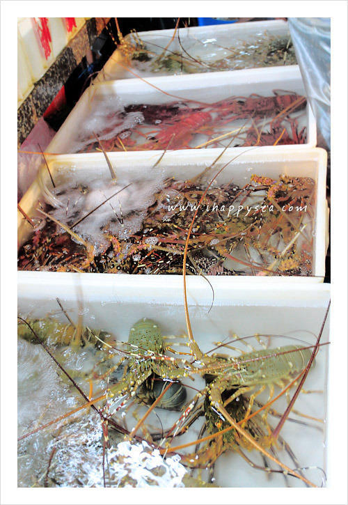 [福友活动]三亚第一市场海鲜之夜16