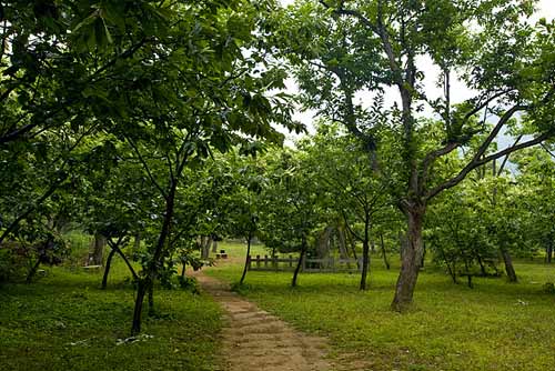 黄花城水长城旅游区 打造山水唱响长城新歌4