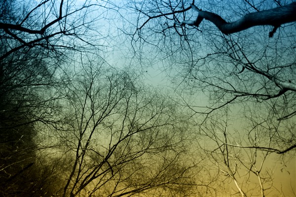 2010-4-10 天津蓟县九山顶----与他4