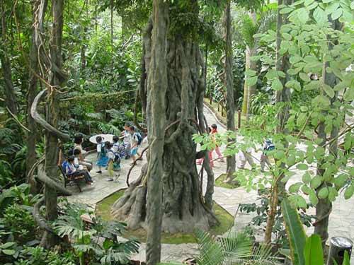 遍游天津市内的每个角落(组图)3