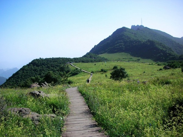 周末出走------北京门头沟百花山1