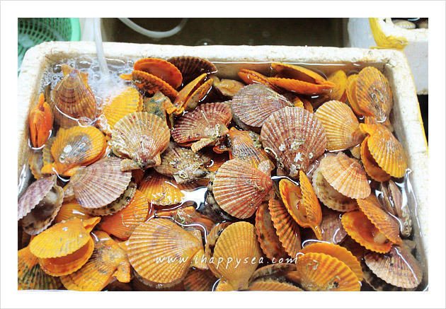 [福友活动]三亚第一市场海鲜之夜17