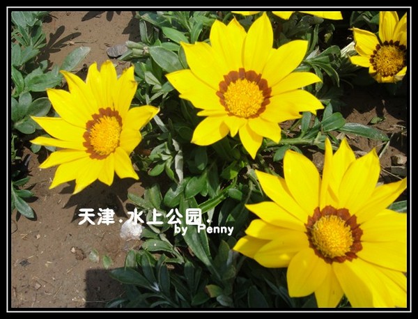 爱故乡-天津9