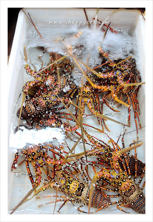 [福友活动]三亚第一市场海鲜之夜13