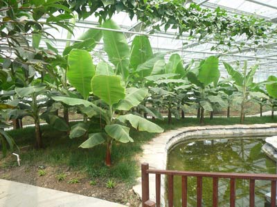 天津六大最闲庄园旅游攻略4