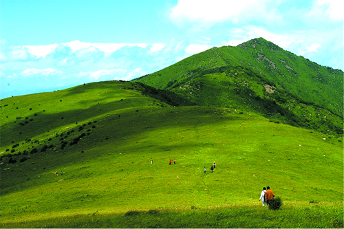 京郊最清幽的旅游地 到松山享草原的美丽3