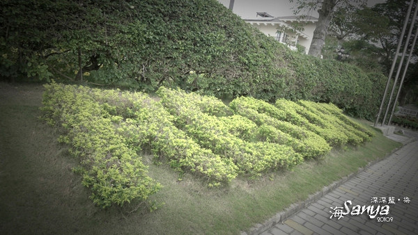 Sanya-海深深蓝之亚龙湾（45P）17