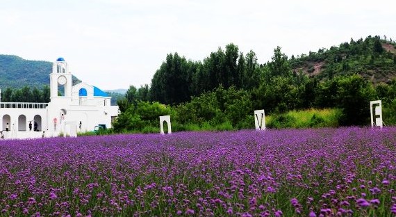 北京近郊一日游:北京周边好玩的地方夏季出游3