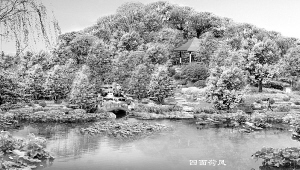 天津梅江风景区-繁华都市中的恬静港湾5