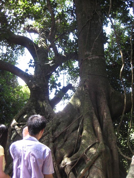2009.9.19手脚并用游--三亚亚龙湾森林公园~9