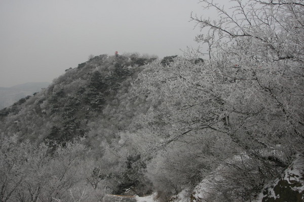 雪后香山1