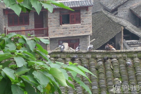 贵州省黔东南——镇远（一）7
