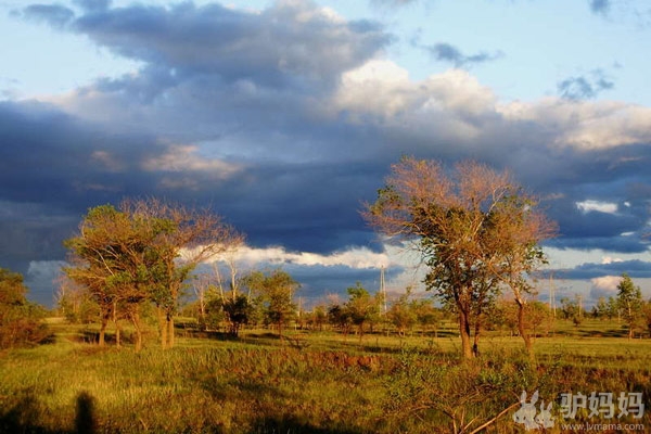爱上南国灿烂阳光  2012元旦昆明自助游攻略5