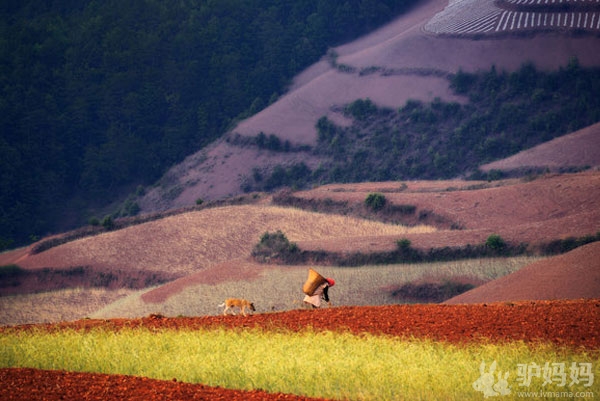 昆明：东川红土地7