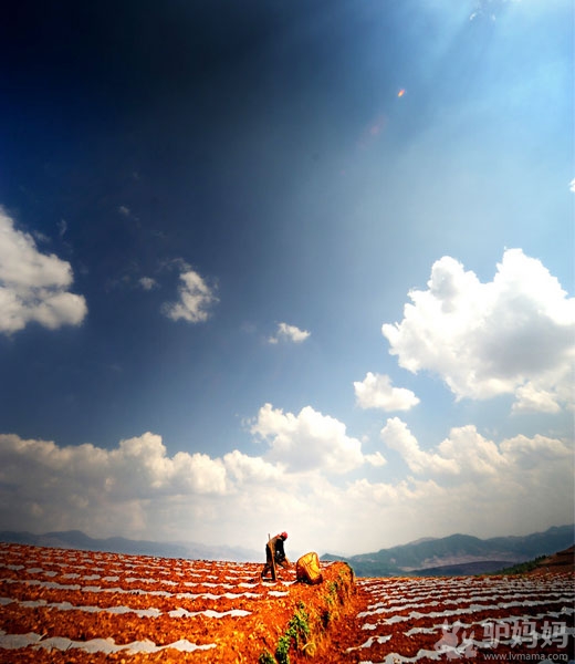 昆明：东川红土地9