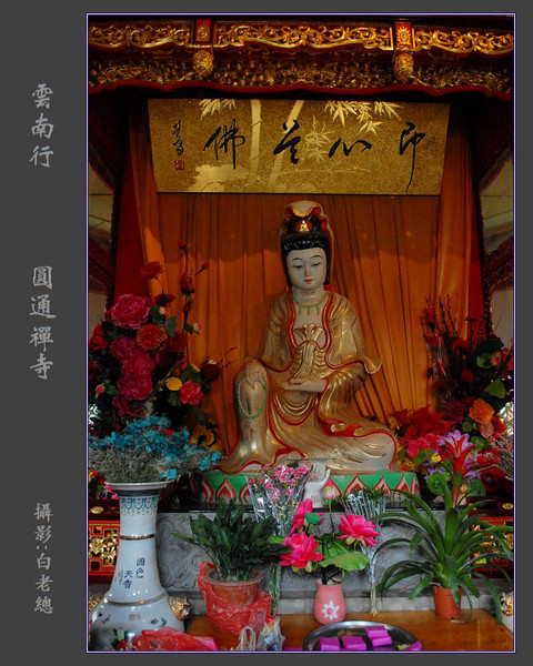 云南行（2）——圆通禅寺（续）8