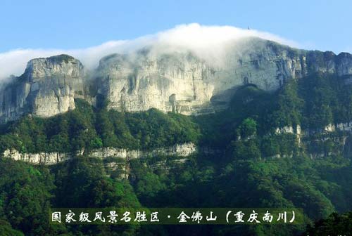 蜀中四大名山之一：金佛山(图)1