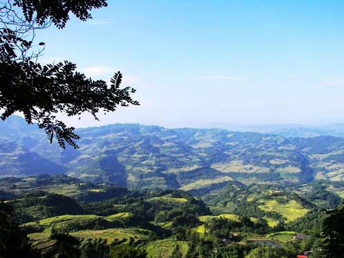 重庆周边之一日倾情(组图)1