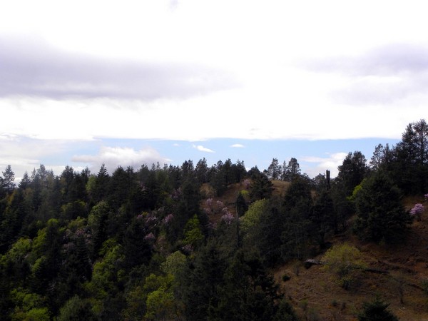 一个80的北京大爷拍的丽江片片，，真是不错！31