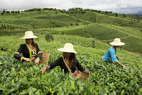 麦克.山下先生镜头中的沙溪1